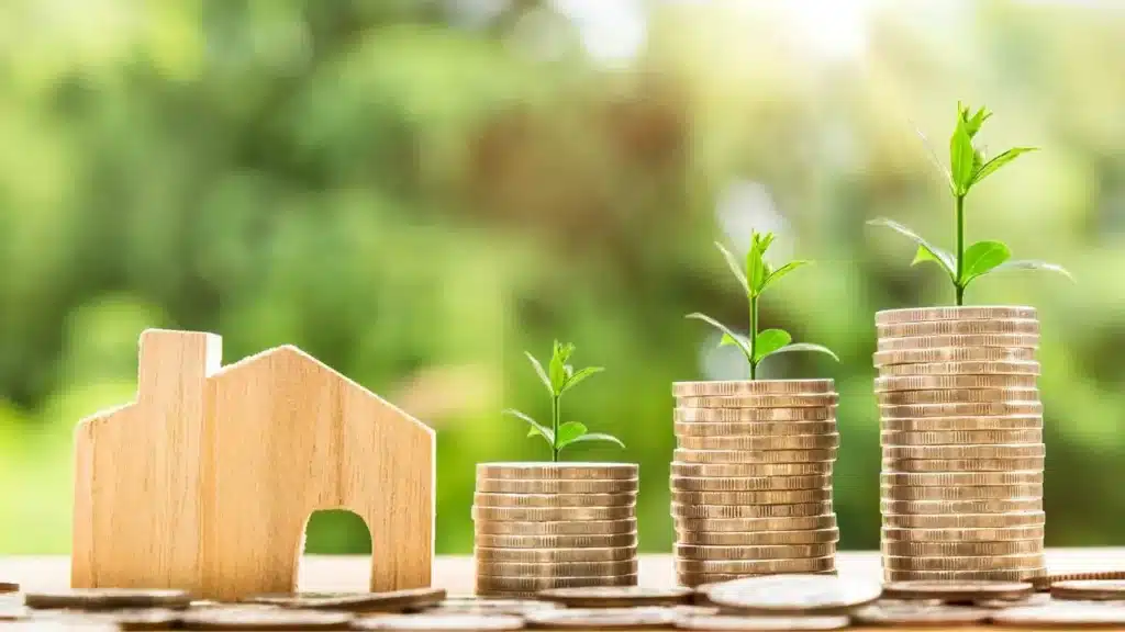 Texas Property Value Protest - property tax protest/property taxes in Texas/property tax consultant/help with property taxes in texas