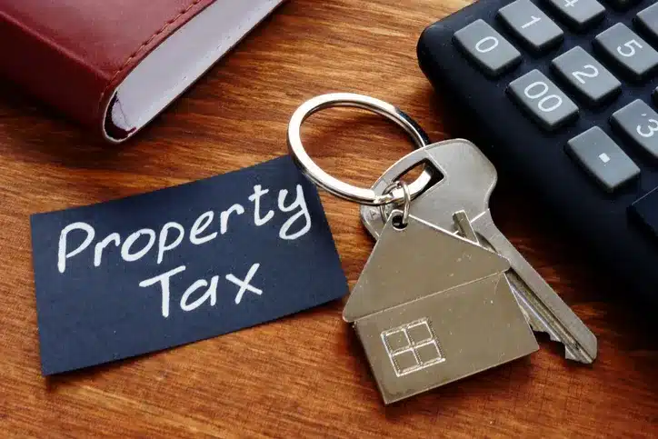 Texas Property Value Protest - property tax protest/property taxes in Texas/property tax consultant/help with property taxes in texas