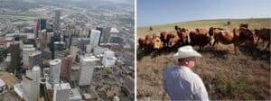 Texas Property Value Protest - Property Tax