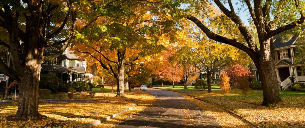 Texas Property Value Protest - Property Tax